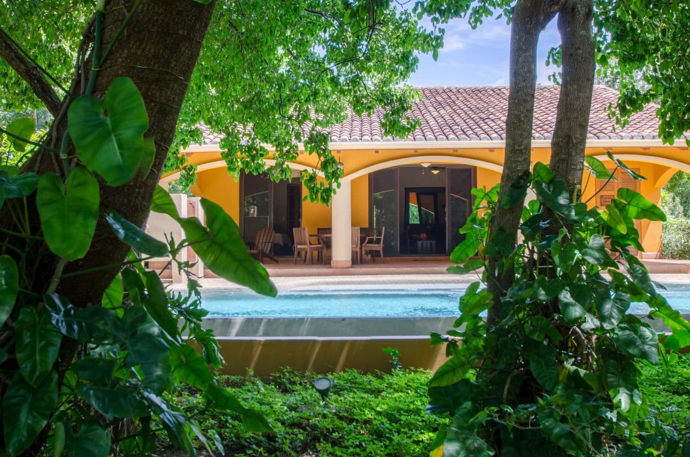 Tropical jungle vantage overlooking the pool and main house beyond