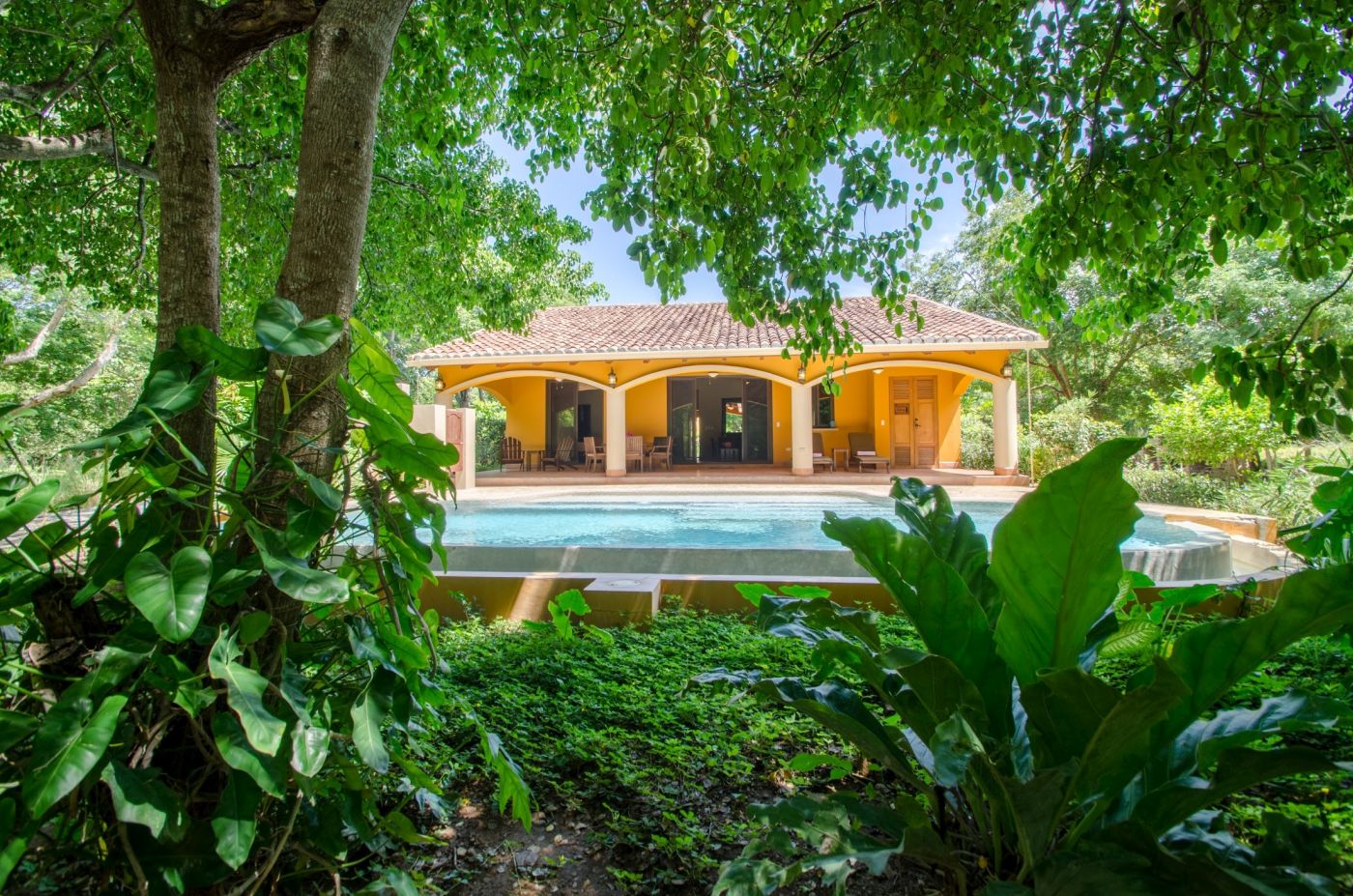 Lush tropical garden view through trees overlooking the pool and main house